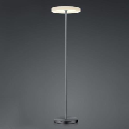 BANKAMP Button LED-Stehlampe mit Dimmer, anthrazit