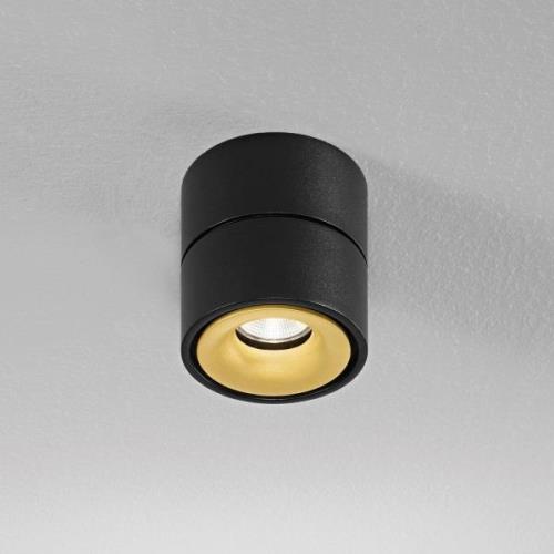 Egger Clippo Deckenspot dim-to-warm schwarz/gold