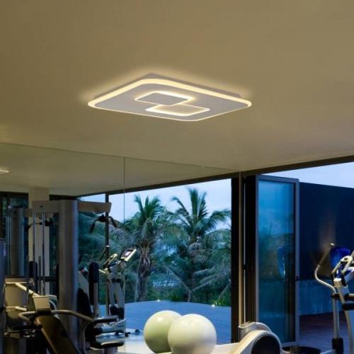 LED-Deckenleuchte Quad, tunable white, dimmbar