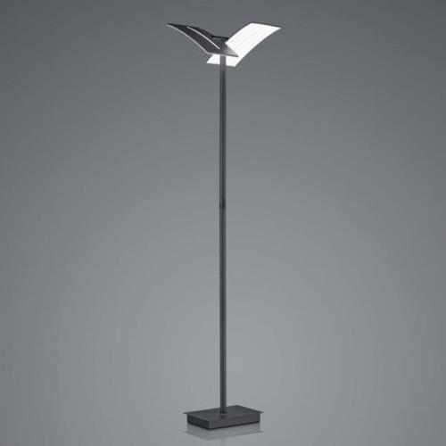 LED-Stehleuchte Dual CCT, dimmbar, schwarz