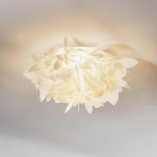 Slamp Veli Foliage Mini Wandleuchte, Ø 36cm