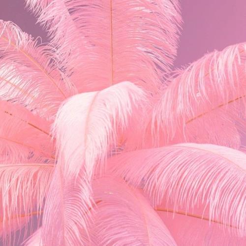 KARE Feather Palm Stehleuchte mit Federn, pink