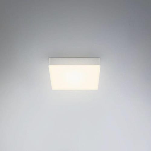 LED-Deckenleuchte Flame, 15,7 x 15,7 cm, silber