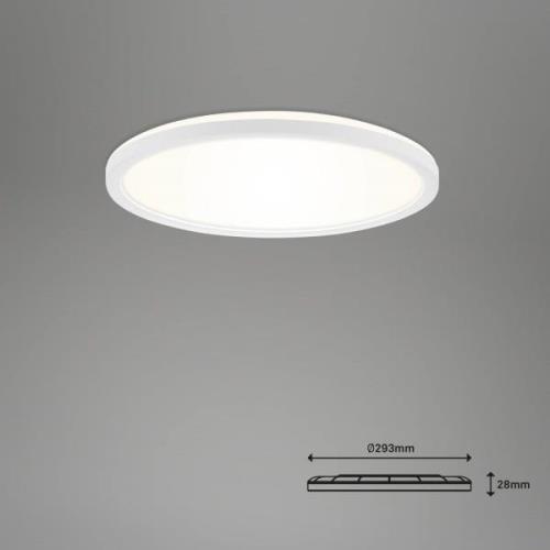 LED-Deckenlampe Slim S dimmbar CCT weiß Ø 29 cm