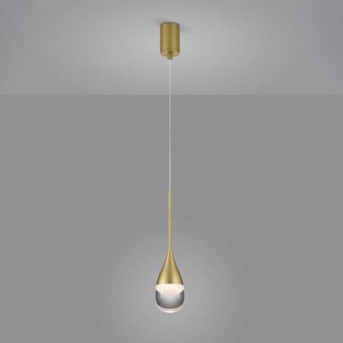 Helestra Deep LED-Hängeleuchte, matt gold