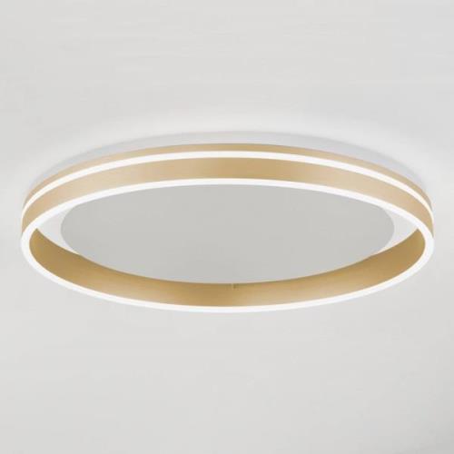 Paul Neuhaus Q-VITO LED-Deckenlampe, Ø 60cm