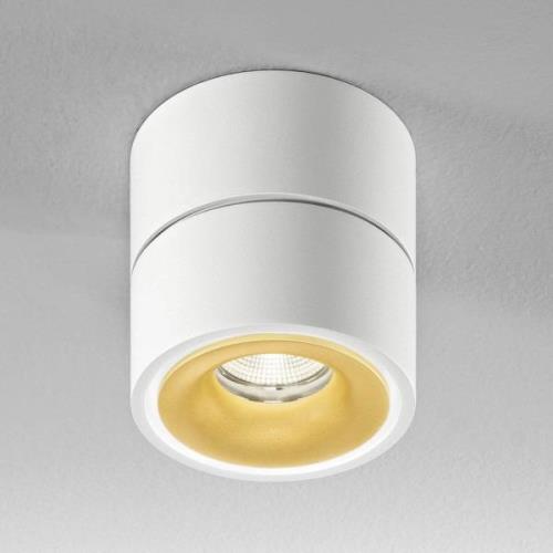 Egger Clippo S LED-Deckenspot, weiß-gold