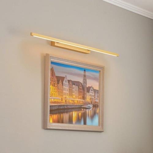 Quitani Talon LED-Bilderleuchte messing eloxal