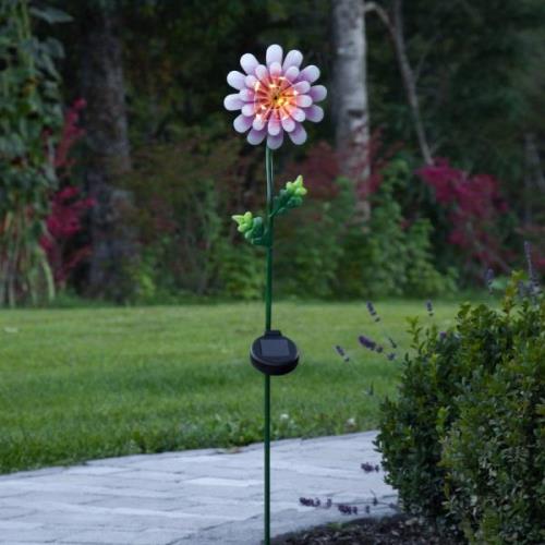 LED-Solarleuchte Pink Daisy in Blumen-Form