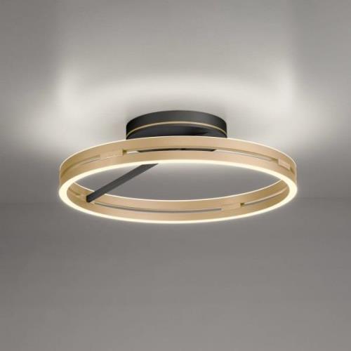 PURE LED-Deckenlampe Loop messing/schwarz Metall Ø 60 cm CCT