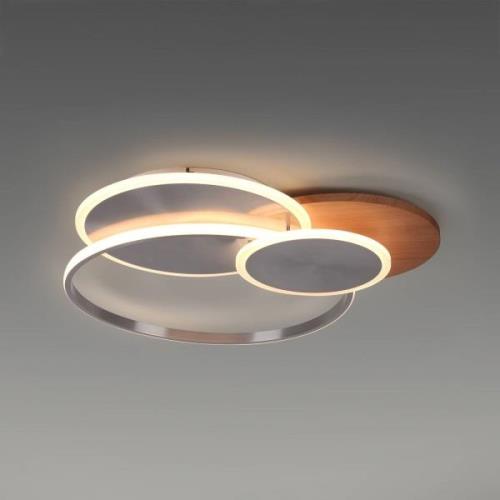 Paul Neuhaus Palma LED-Deckenlampe CCT rund