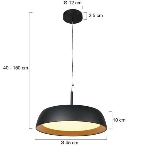 LED-Hängeleuchte Mykty, Metall, schwarz, Diffusor matt