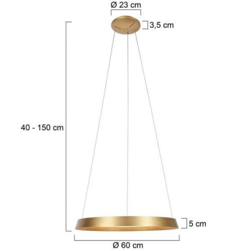 LED-Hängeleuchte Ringlux, 1-flammig, goldfarben, Metall