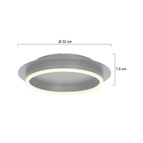 LED-Deckenleuchte Ringlux, stahlfarben, Ø 32 cm, Metall