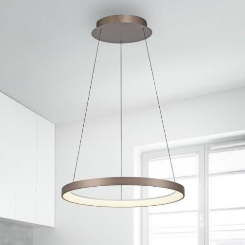 Paul Neuhaus LED-Hängelampe Hoop, kaffeebraun, Ø 57 cm