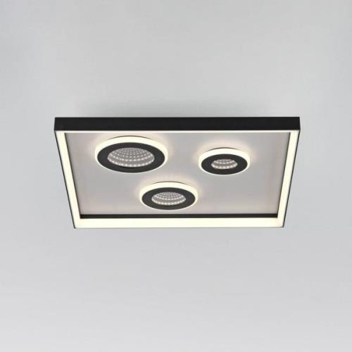 Paul Neuhaus LED-Deckenlampe Dune, Länge 45 cm, schwarz, CCT