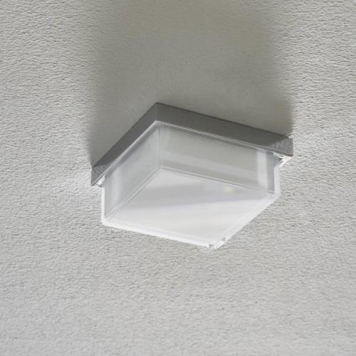 Helestra Cosi LED-Deckenleuchte chrom 11x11 cm