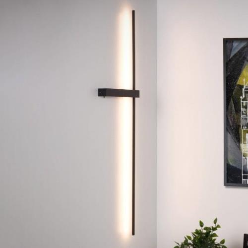 LED-Wandleuchte Segin, Höhe 90 cm, 10W, schwarz, Aluminium