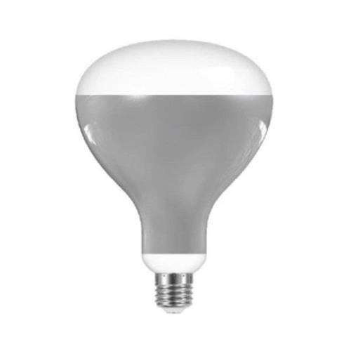 Flos - Leuchtmittel LED 12W (1180lm) R125 2700K E27 Greenplux