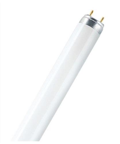 Philips - Leuchtmittel 36W/830 T8 Leuchstoffröhre