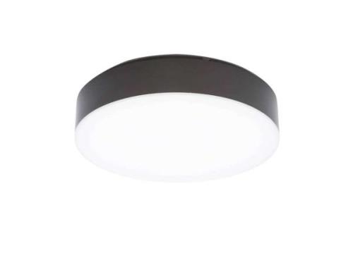 Lindby - Lahja LED Außen Deckenleuchte IP65 Dark Grey