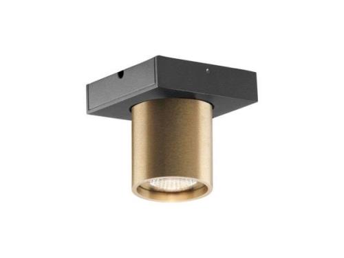 Light-Point - Focus 1 LED Deckenleuchte 3000K Brass