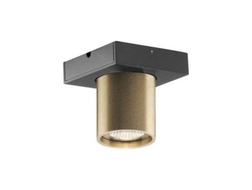 Light-Point - Focus Mini 1 LED Deckenleuchte 2700K Brass