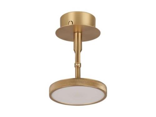 UMAGE - Asteria Spot Deckenleuchte Plated Brass Umage