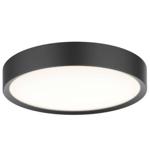 Halo Design - Universal LED Deckenleuchte Ø43 Black