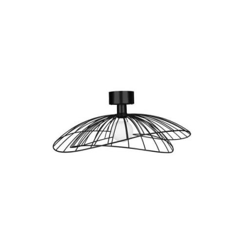 Globen Lighting - Ray 60 Wand-/Deckenleuchte Schwarz