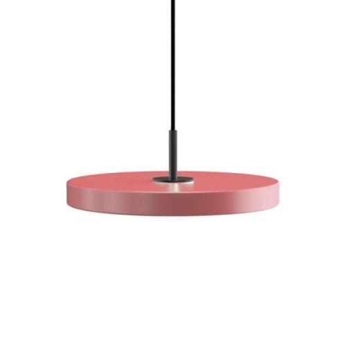 Umage - Asteria Mini Pendelleuchte Rose/Black Top