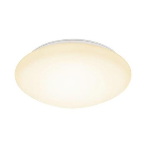 Basic LED 29cm (Weiß)