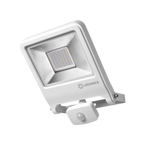 Endura® Flood Sensor Warm White 50 W 3000 K (Weiss)