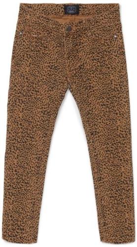 Luca &  Lola Dahna Hose, Leopard 116