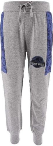 Jurassic World Jogginghosen, Light Grey, 3 Jahre