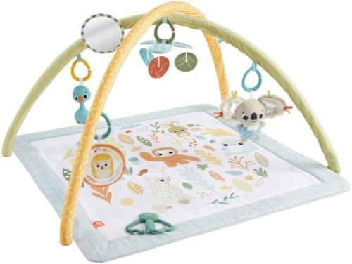 Fisher-Price Simply Senses Spielbogen, Babyspielzeug